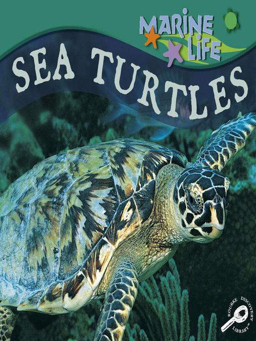 Title details for Sea Turtles by Lynn M. Stone - Available